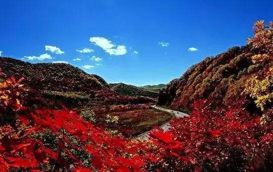 欧洲多国游好还是一国游好_川藏线自驾丰田2700游花费情况_最好的自驾游网站