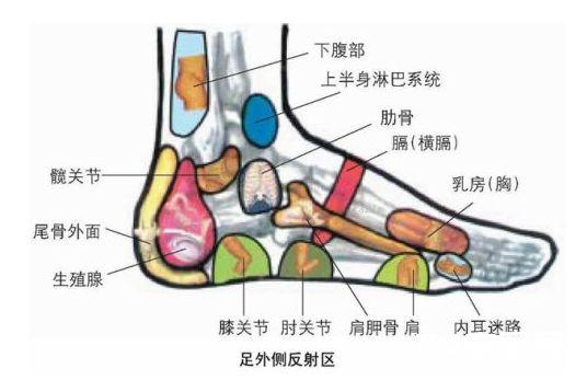 血压高在脚趾，肾病在脚心，五脏病皆治足！