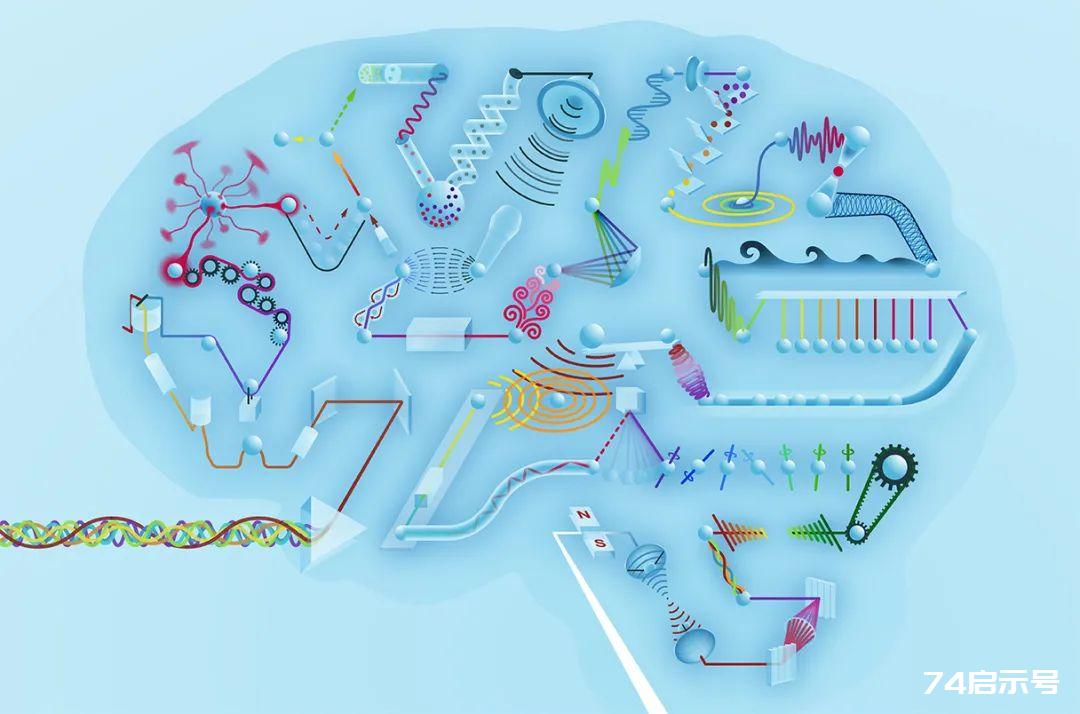 深度学习再登Science：万物皆可做神经网络处理器，你甚至可以用锅碗瓢盆