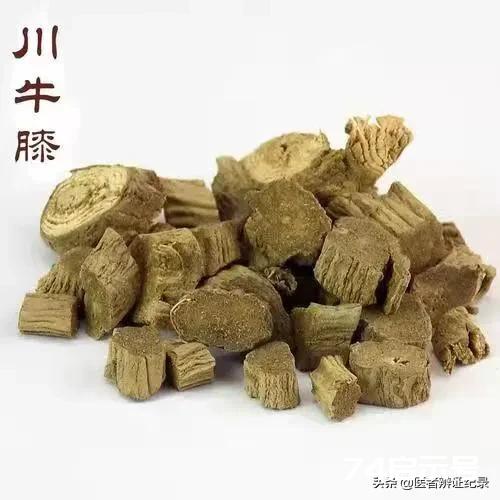 所谓“慢性前列腺炎”，不过是湿热堵着罢了！九十年代，幸得老前辈倾囊相授。此后数十载，一方【清湿热、化...