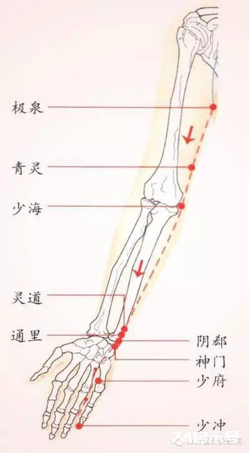 【针灸讲坛】灵道、通里、阴郄、神门四穴的主治作用有何异同