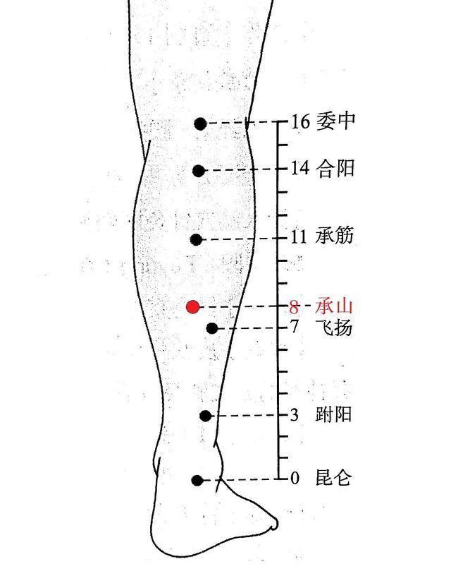 承山穴的妙用