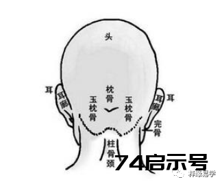 相学研究：适合走仕途的几个特征