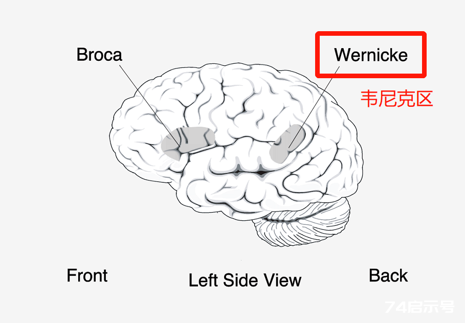 妈妈一句话，10岁儿子跳楼：这些话，千万别跟孩子说