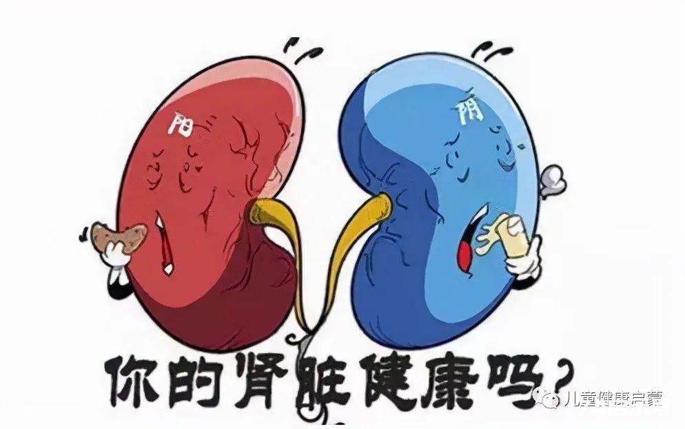 原创：每天3分钟“抖动补肾功”，胜过“金匮肾气丸”