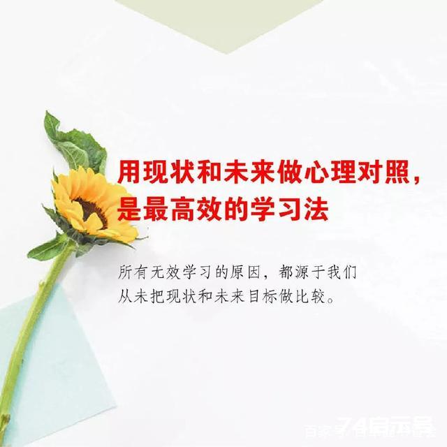 百草园读书：《学习之道》9种学习思维，快速提升你的学习力 转藏