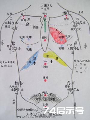 人体五行五脏八卦象数对应图