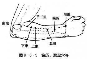 一个排毒穴，不输足三里，排毒清火，调理肠胃，还治手臂酸痛呢！！