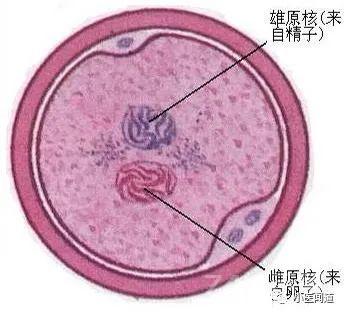 五运六气筑基班二期第二讲（干货满满）