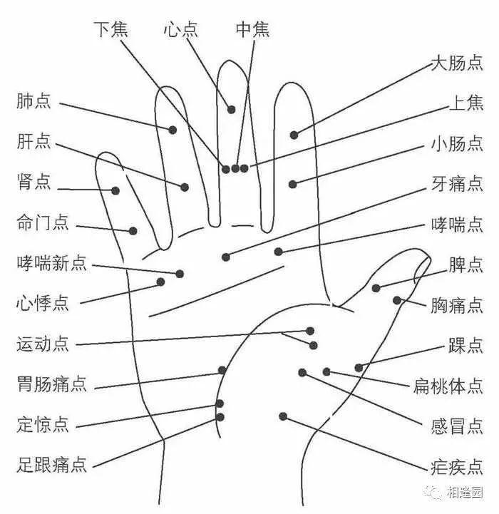 记住脑梗心梗心点穴，关键时刻救了很多人