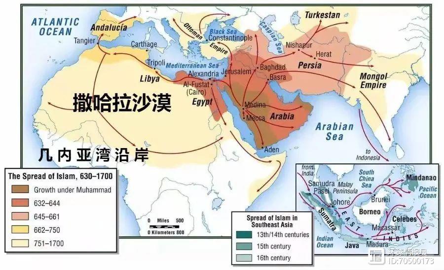 尼日利亚：三大民族内斗，非洲人口第一大国为什么内乱不断？