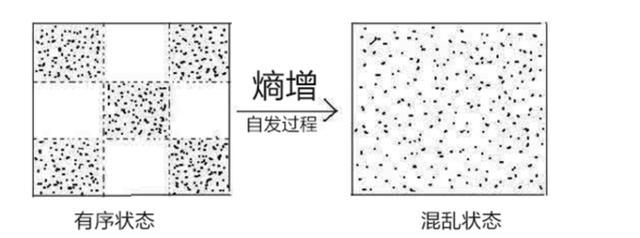 人类为何不能实现“永生”？科学家：人类只是在给基因打工罢了