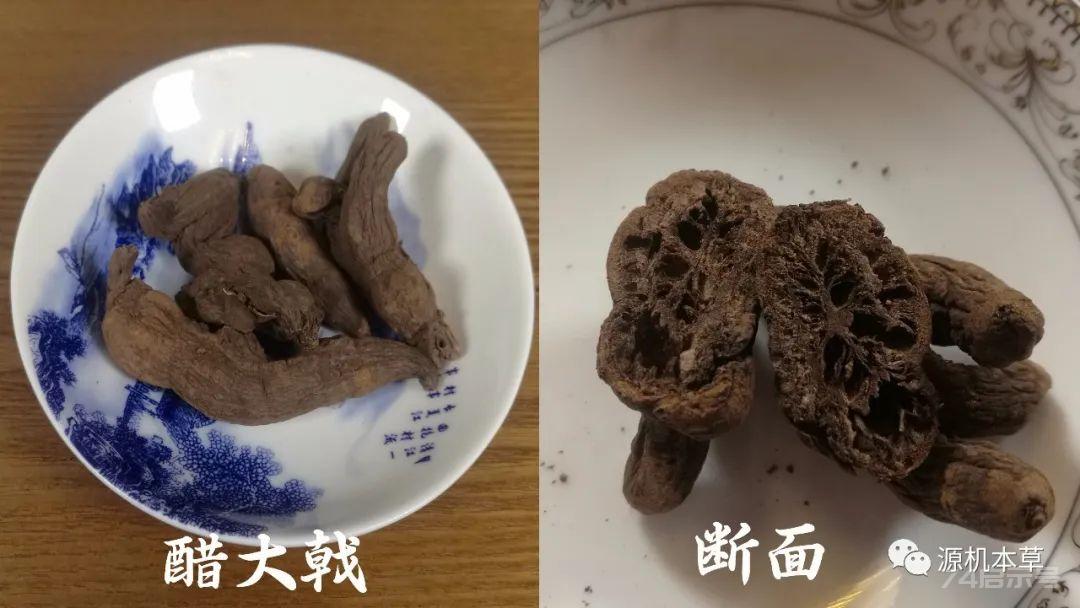 奇方妙药（九）一味金丹除恶疾 不效不归 控涎丹