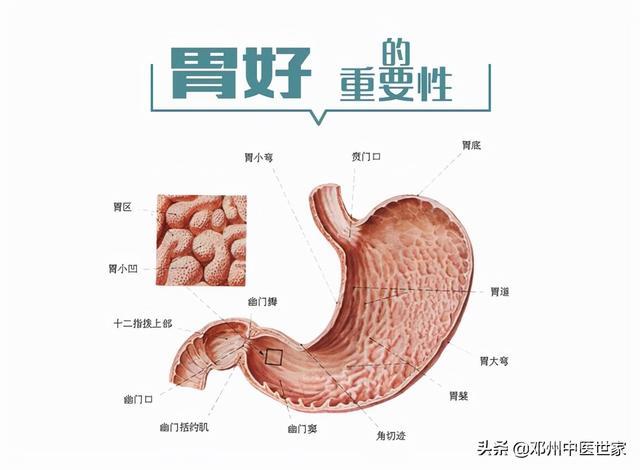 慢性浅表性胃炎仅需两味药