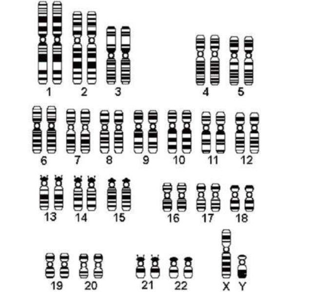 人类为何无法实现“永生”？生物学家：我们都是基因的“打工仔”