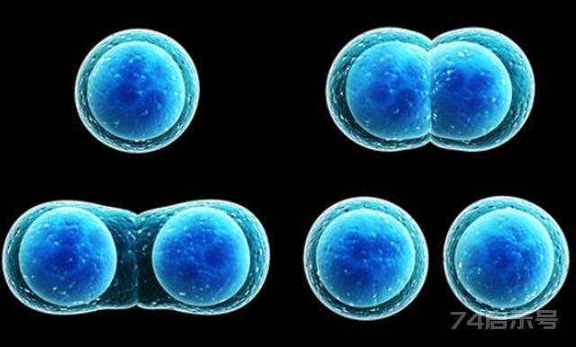 人类为何无法实现“永生”？生物学家：我们都是基因的“打工仔”