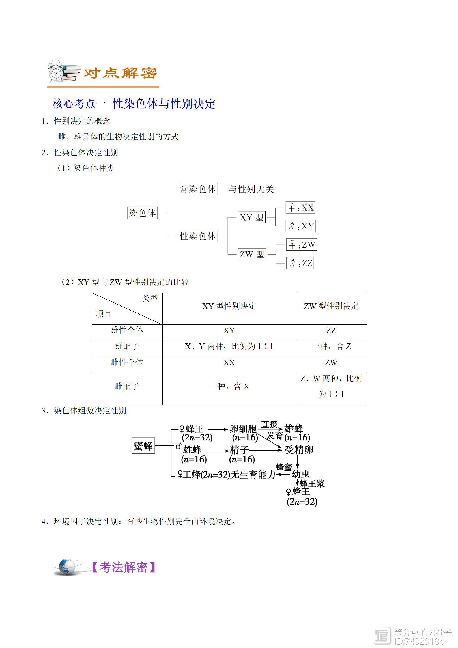 高中生物——二轮复习讲义+分层训练，27个高考高频考点整理