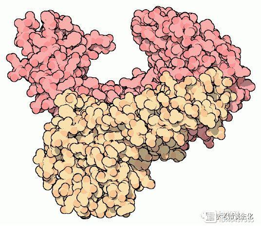 逆转录的发现者与巴尔的摩事件