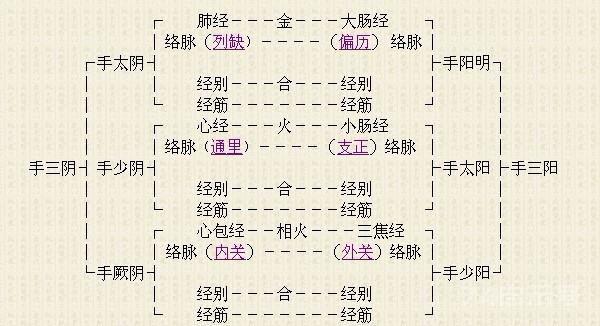 十二经络走向动态图