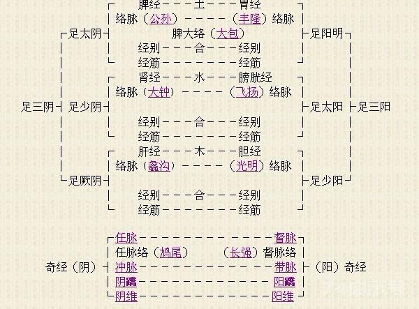 十二经络走向动态图