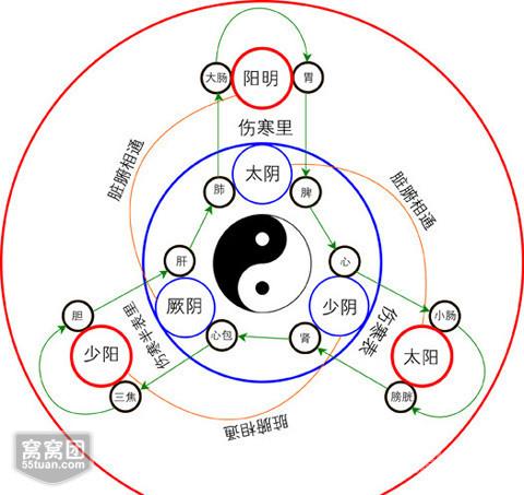 十二经络走向动态图