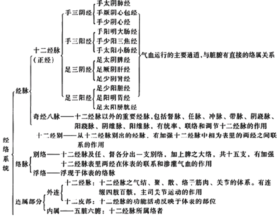 十二经络走向动态图