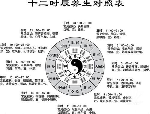 十二经络走向动态图