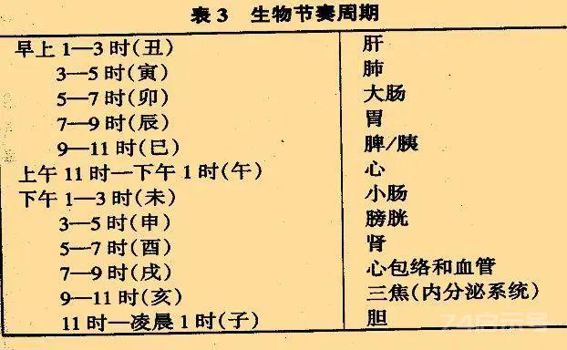 子午流注功 黄道十二功 （祛病强身 古传）