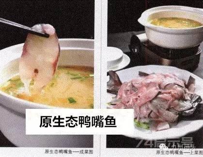 旺销特色汤锅—原生态鸭嘴鱼（附秘制汤料的配方与制作方法）