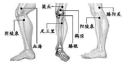 私传的特色秘方，每天喝两口，“老寒腿”不疼了，为父母收好 [一点资讯]