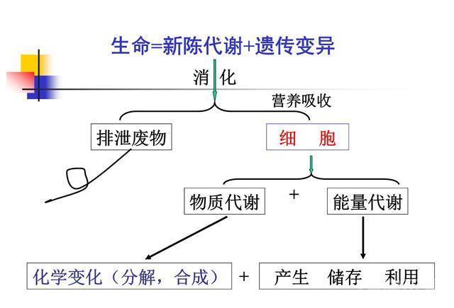 人类为何不能永生？科学家：人类都是“打工仔”