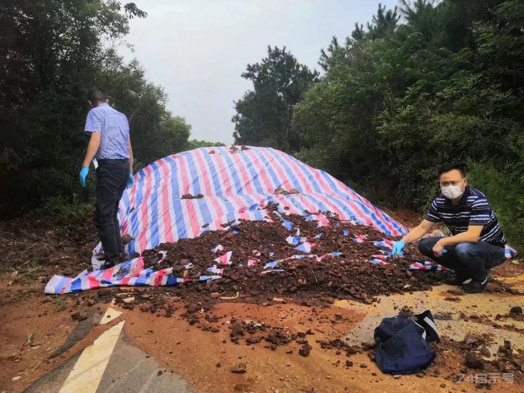 江苏三只羊拱了一堆土，几分钟后离奇暴毙，竟扯出一宗刑事大案