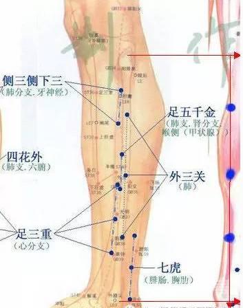 董氏奇穴之董氏针灸七十二绝（图谱）~