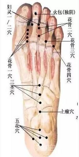 董氏奇穴之董氏针灸七十二绝（图谱）~