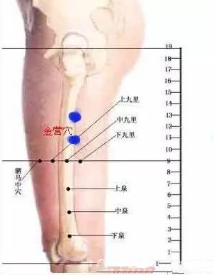 董氏奇穴之董氏针灸七十二绝（图谱）~