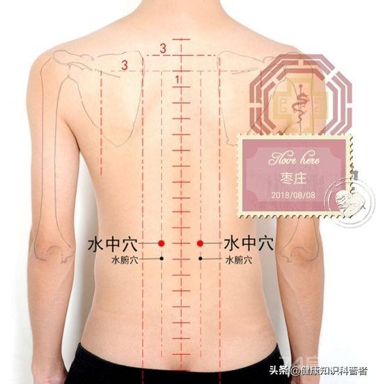 治疗腰脊椎骨疼的董氏奇穴