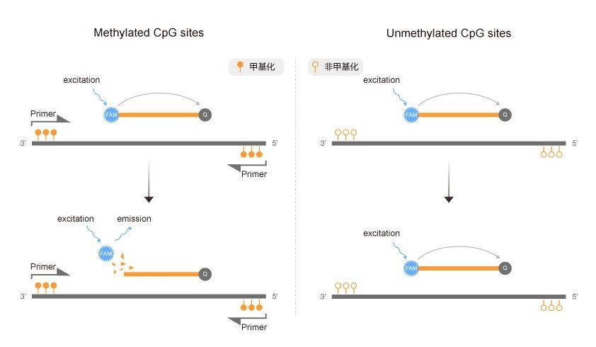 疾病诊断之甲基化qPCR检测