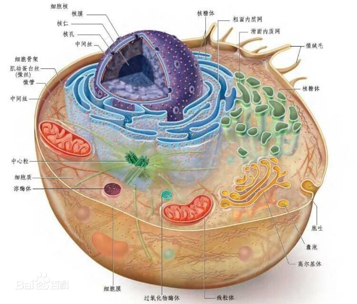 人类历史梳理：盘点影响深远的科学理论