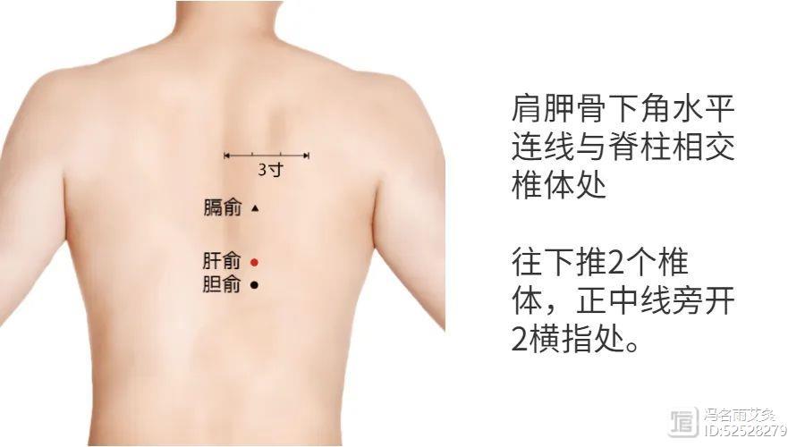 眼前飘带有小黑影？艾灸穴位刮枕骨，帮你有效搞定飞蚊症