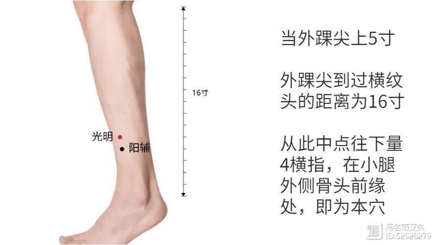 眼前飘带有小黑影？艾灸穴位刮枕骨，帮你有效搞定飞蚊症