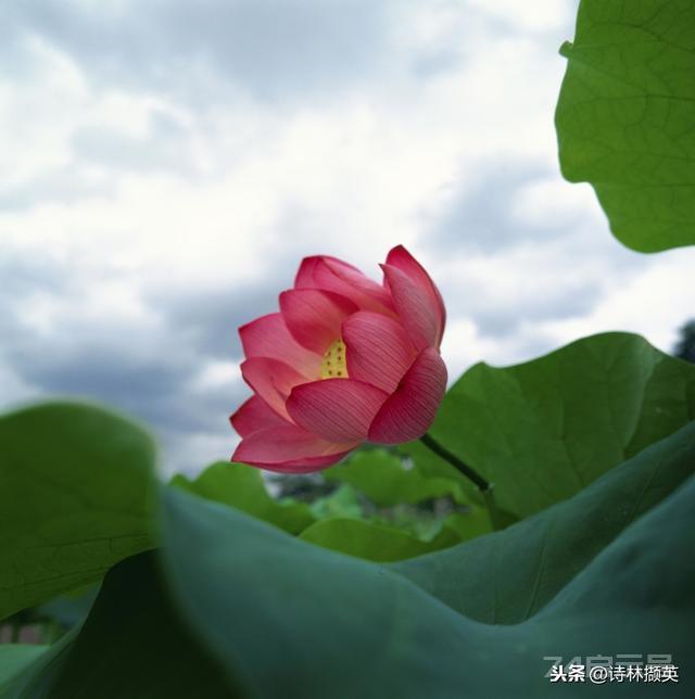 飞花令——数字“一”