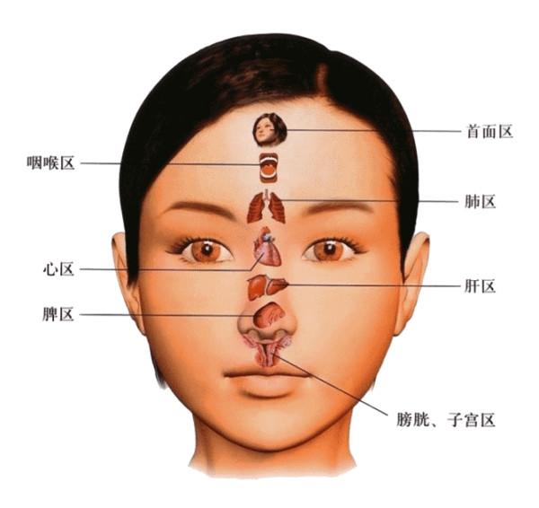 中医相学面诊秘诀