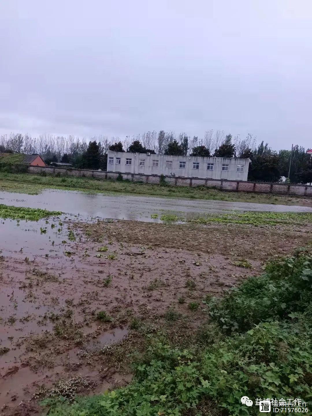 学习是立身之本成事之基，益博社会工作志‖益见