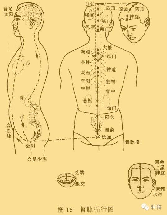 追忆张至顺真人|张真人传道家按摩手法