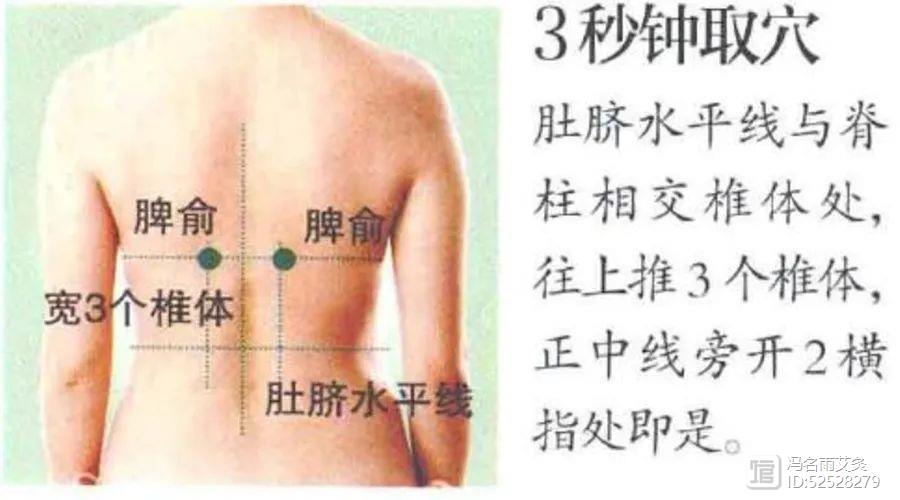 了解体内水液循环，穴位艾灸，解决下肢水肿