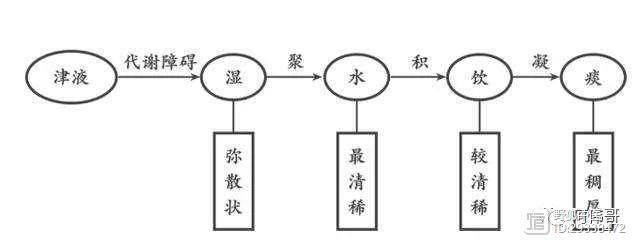 品味医道之廿一：鱼生火 肉生痰