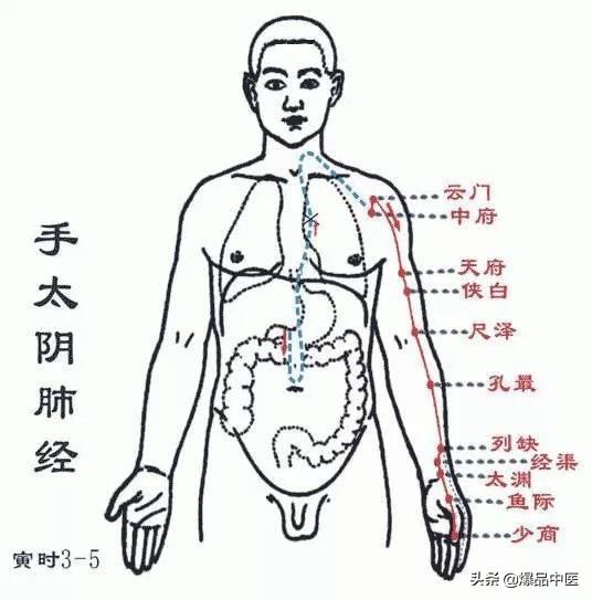 十二经络：原穴、络穴、输穴详解