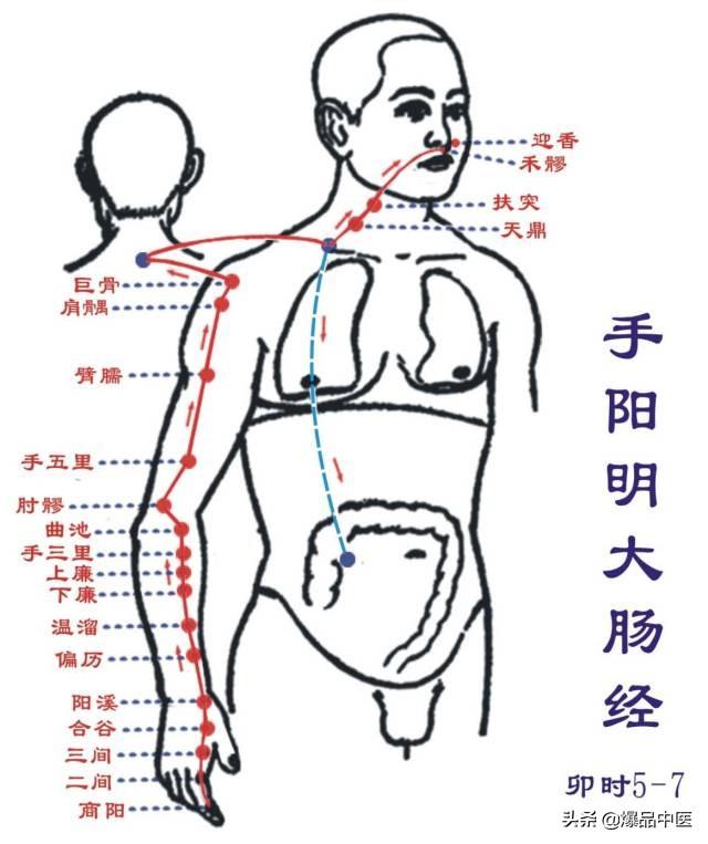 十二经络：原穴、络穴、输穴详解