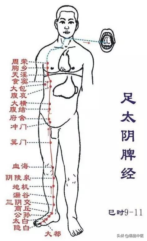 十二经络：原穴、络穴、输穴详解