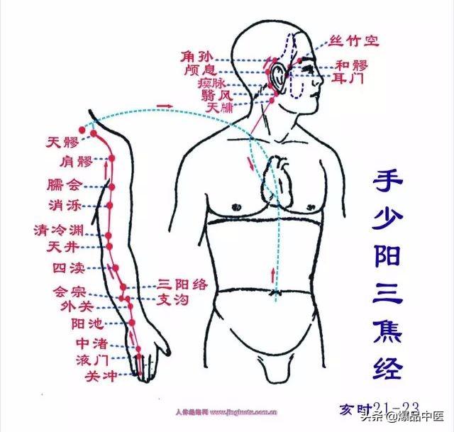 十二经络：原穴、络穴、输穴详解